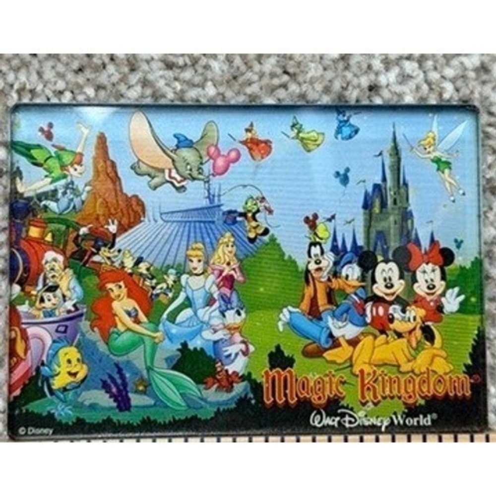 Disney World Magic Kingdom Multi Character Souvenir Magnet Mickey Minnie Ariel